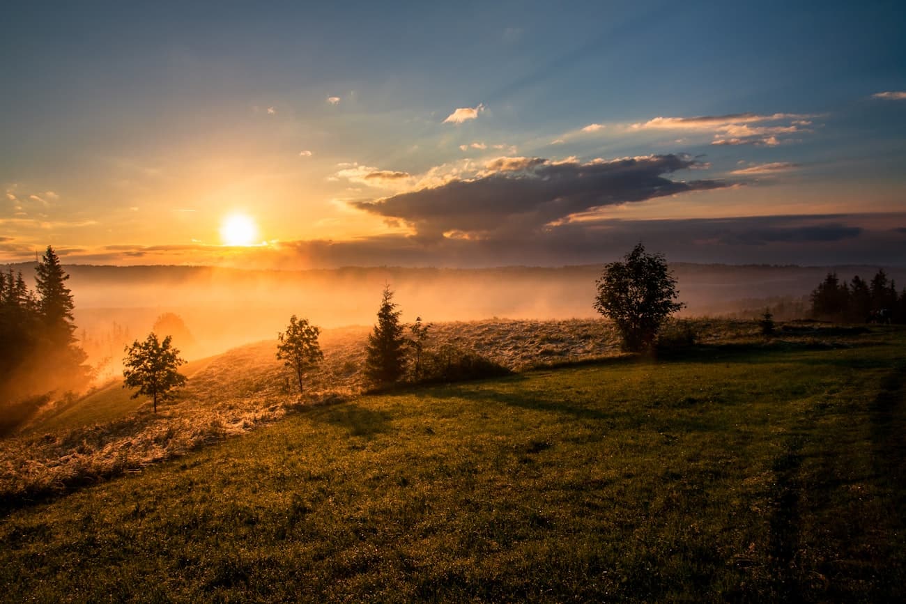 Paisagem aberta no fim da tarde com luz dourada
